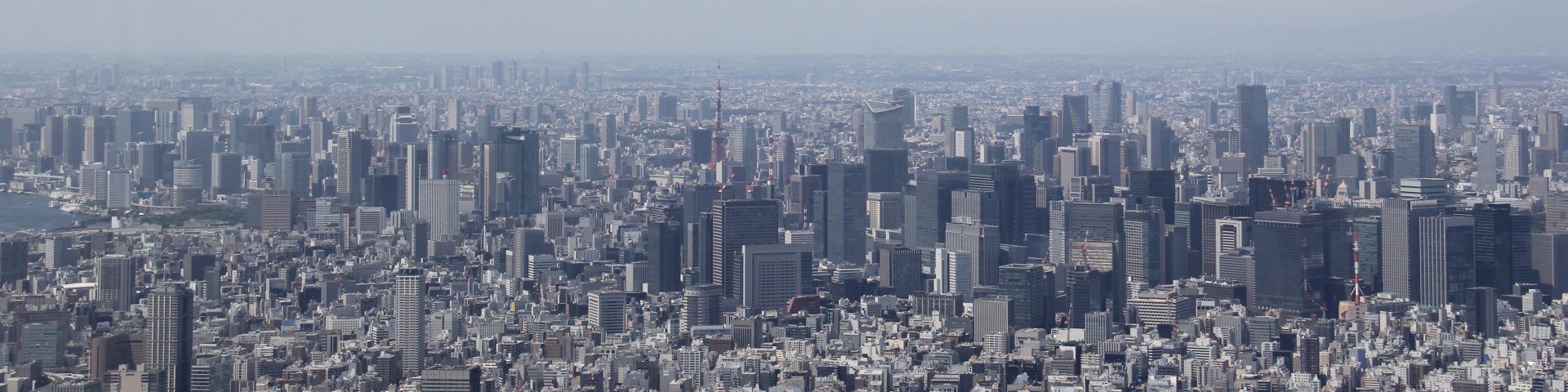 Tokyo Skyline from Skytree